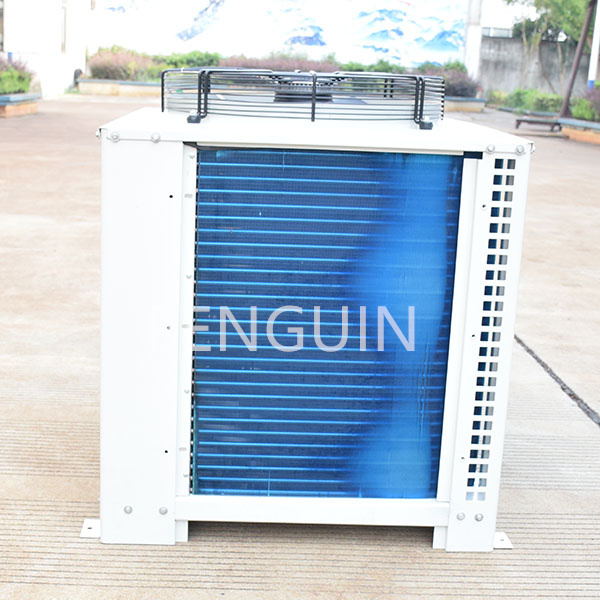 Ciri-ciri utama yang perlu dicari apabila memilih kondenser bilik sejuk untuk perniagaan anda