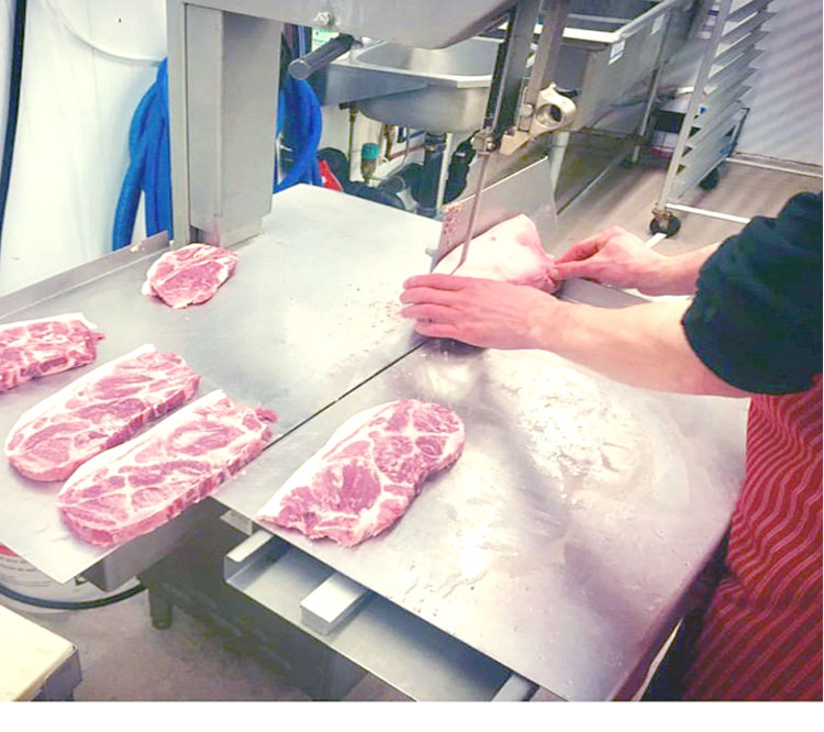 Multi-tool cutting meat bone frozen fish band saw blades manufacture