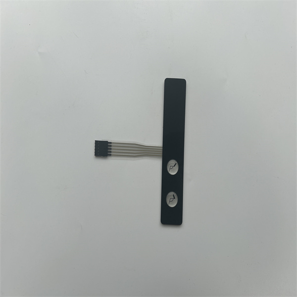 Membrane switch panel