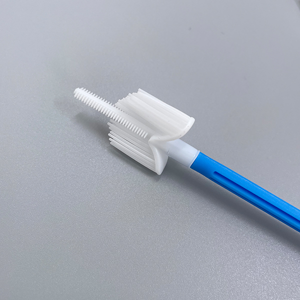 ブラシを使用して定期的にパップスメア検査を受けましょう