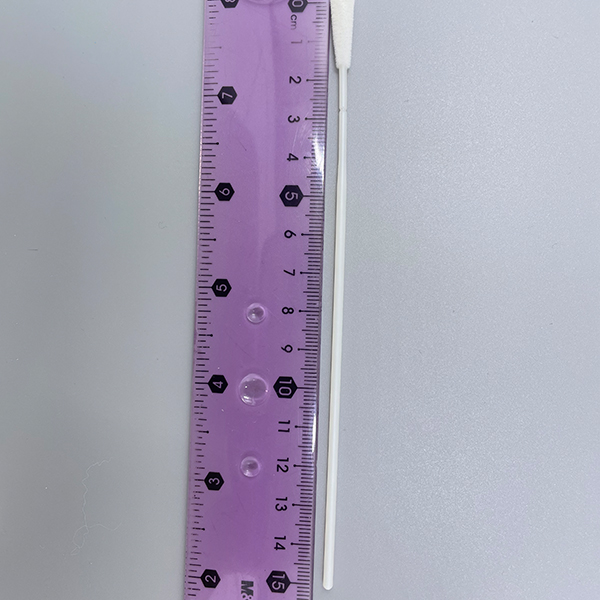 En vetenskaplig ansats