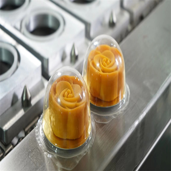 Using the Jelly Cup Filling Packing and Sealing Machine