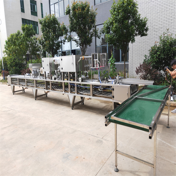 Security in Automatic Filling and Sealing Packaging Machines