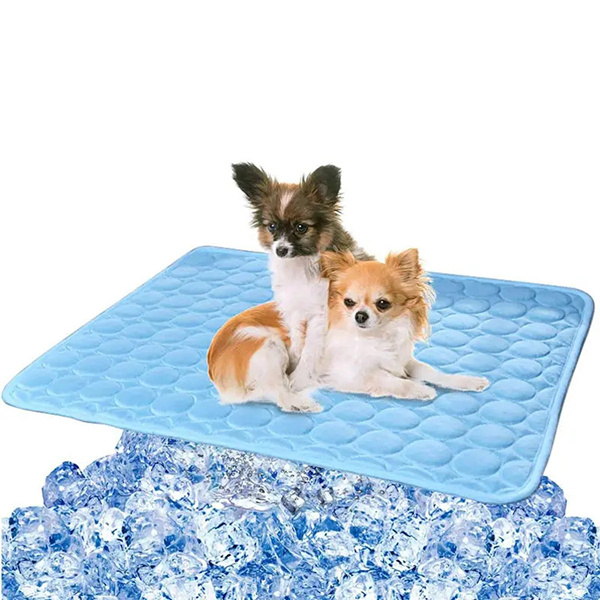 Invest in a Cat Cooling Bed for a Happy, Relaxed Ca