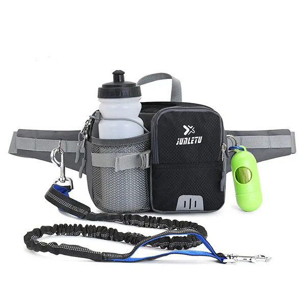 Laisse réfléchissante haute visibilité pour des aventures nocturnes