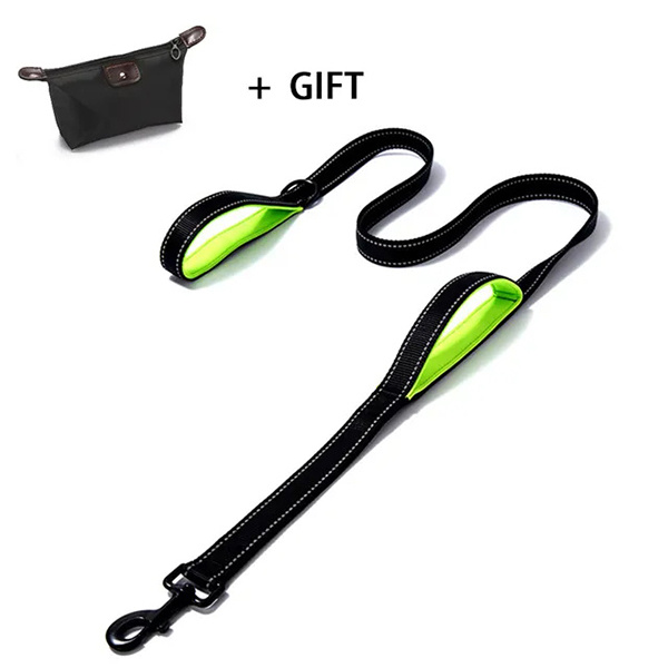 Rainy Day? No Problem! Choose a Durable Waterproof Dog Leash