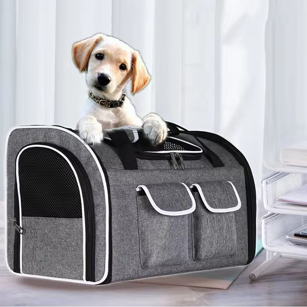 Why Every Pet Owner Needs a Carrier Bag