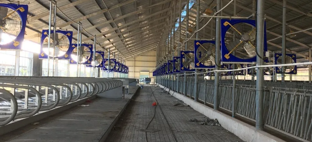 PE Blue poultry farm fan cow house exhaust fan for cooling poultry farm cattle dairy farm exhaust fan details