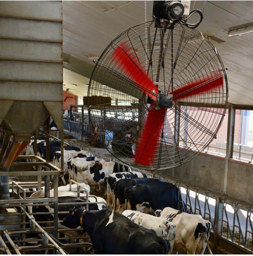Barn fan cow comfort dairy farm ventilation cooling industrial hanging fan details