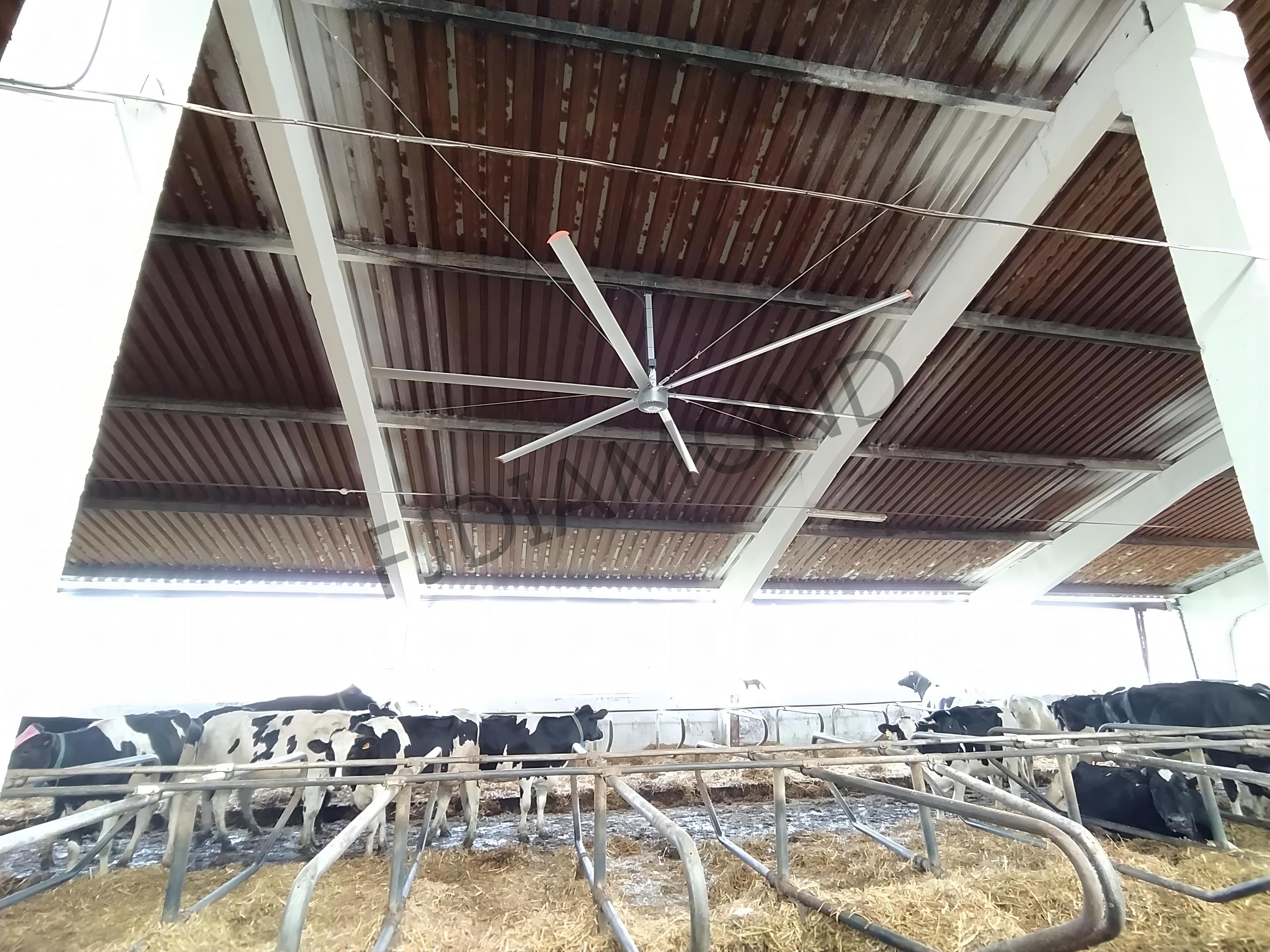 IE5 PMSM Motor 24ft HVLS AC Power 7.3m Electric Fans Large Industrial Ceiling Fans for Dairy Factory 380V Voltage for Warehouses details
