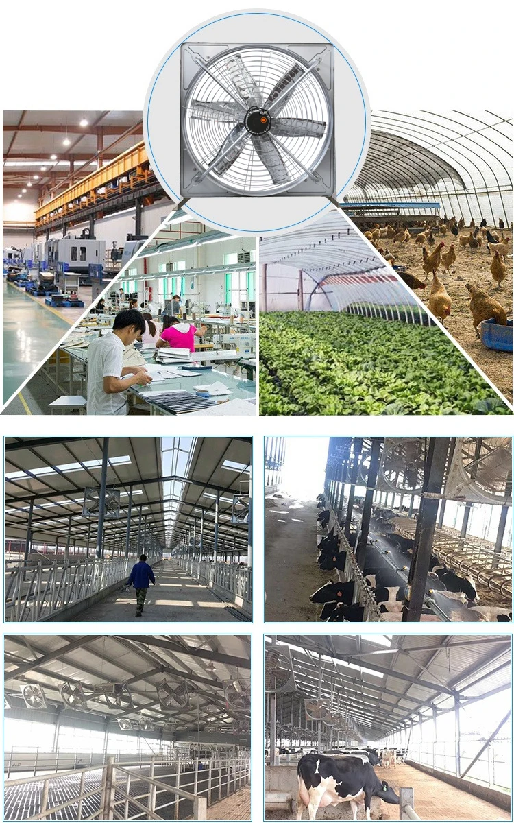 PE Blue poultry farm fan cow house exhaust fan for cooling poultry farm cattle dairy farm exhaust fan factory