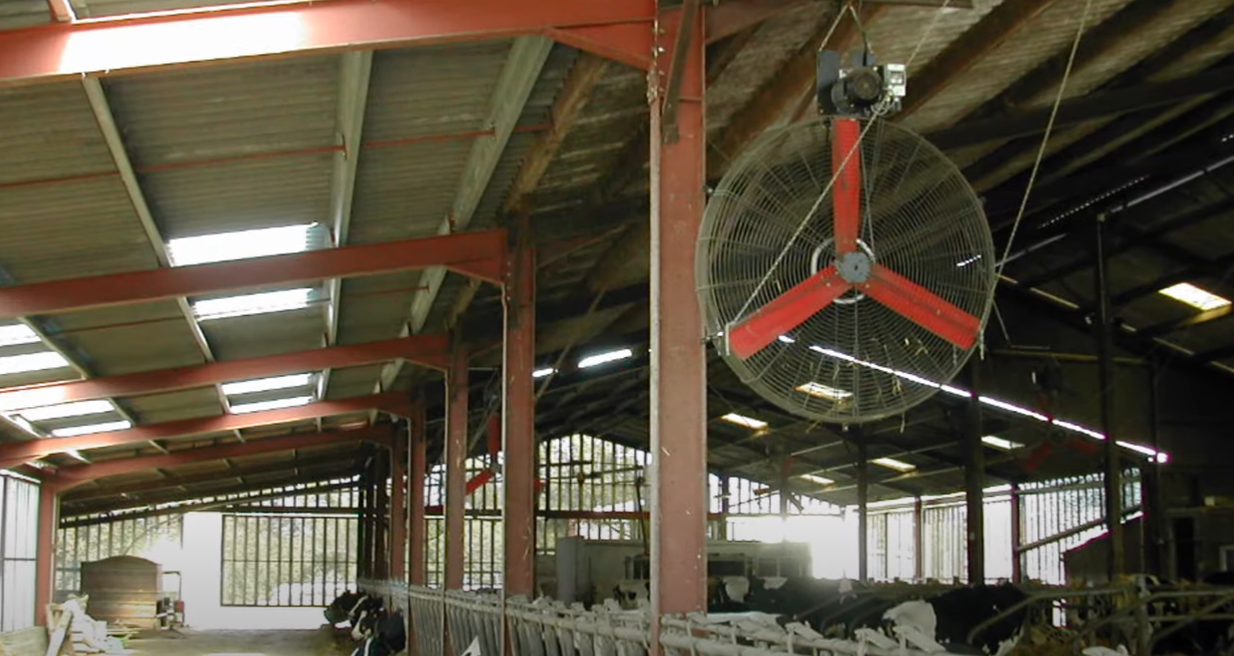 Barn fan cow comfort dairy farm ventilation cooling industrial hanging fan manufacture