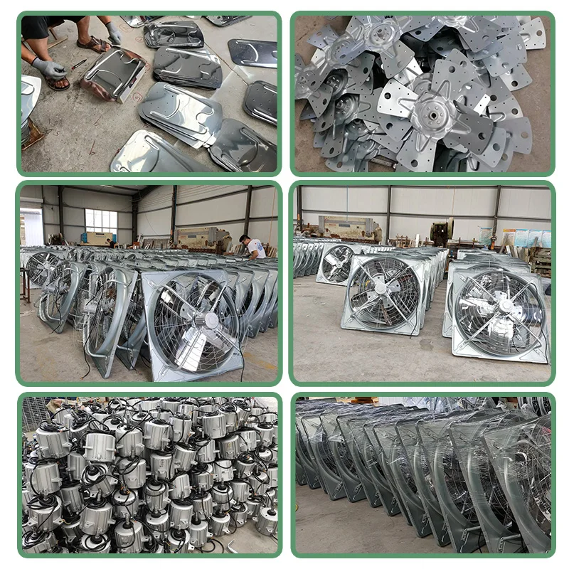 PE Blue poultry farm fan cow house exhaust fan for cooling poultry farm cattle dairy farm exhaust fan manufacture