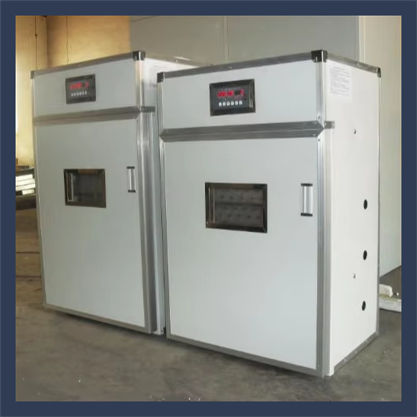 Experience outstanding performance with our reliable incubator machines