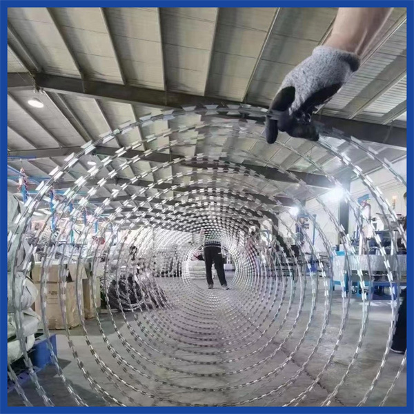 Wide Range of Razor Barbed Wire Options for All Security Needs