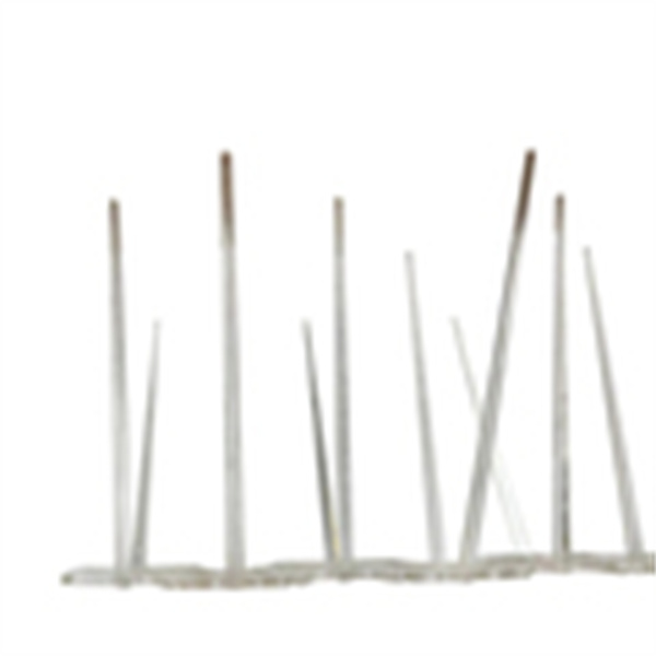 הפתרון הטוב ביותר לבקרת מזיקים