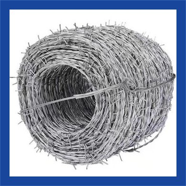 חוט קוצים קל להתקנה להגנת היקף