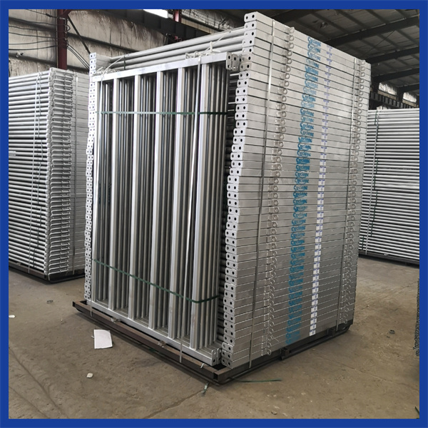 המאפיינים המובילים לחפש בשער ראש לפרות