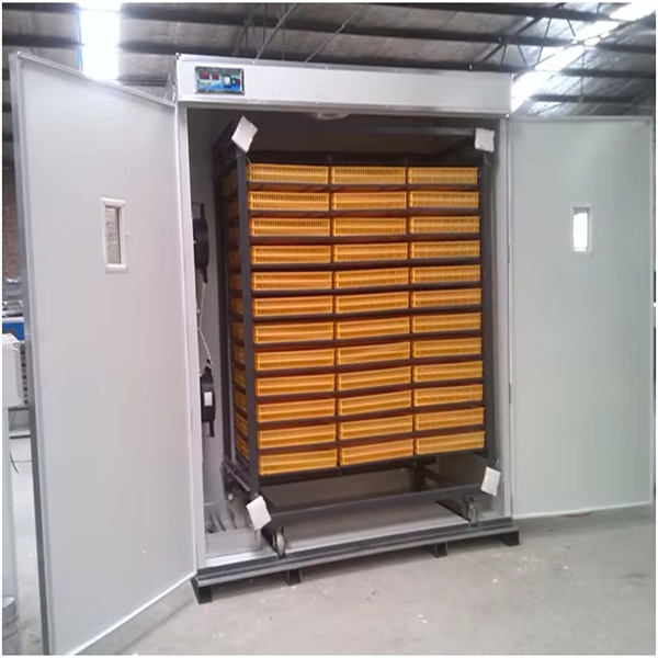 הגדלת יעילות עם בדיקה אוטומטית.