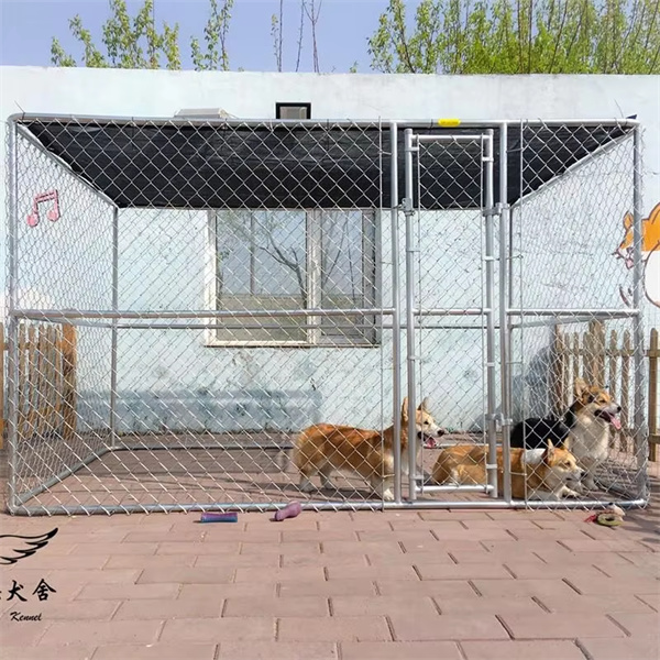 Give כלבך חדר להזיז עם a Extra גדול כלב Cage