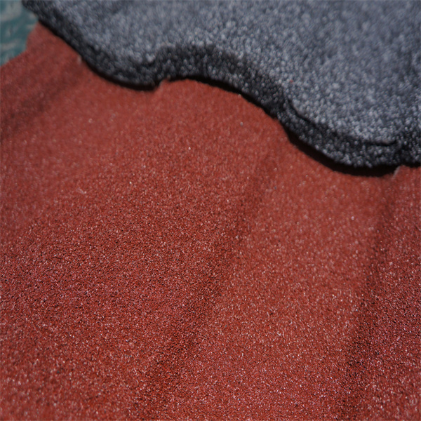 פתרונות גג שקופים 저렴ים וארוכי טווח לעסקים