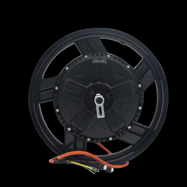 The Versatility of a 16 Inch Hub Motor