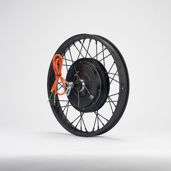 48v Spoke Motor : Innovation