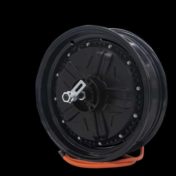 Say Goodbye to Traditional Bike Chains with Electric Wheel Hub Motors