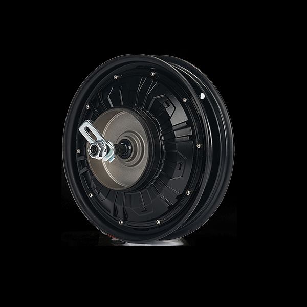 Unleashing high performance with brushless DC hub motors