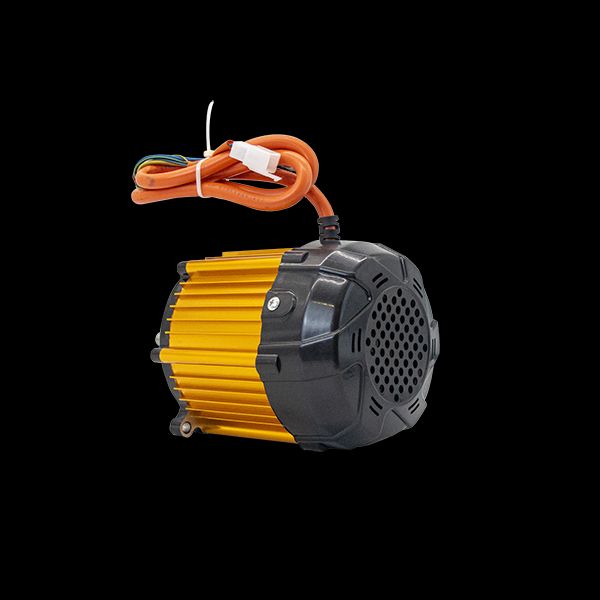 Den fleksibilitet af Electric Differential Motor 48v