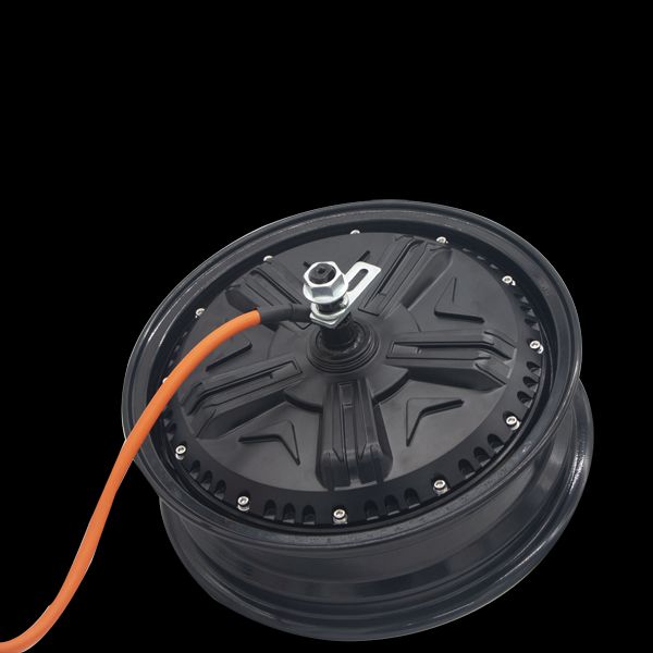 Esplorare il motore a nastro 48v da 12 pollici