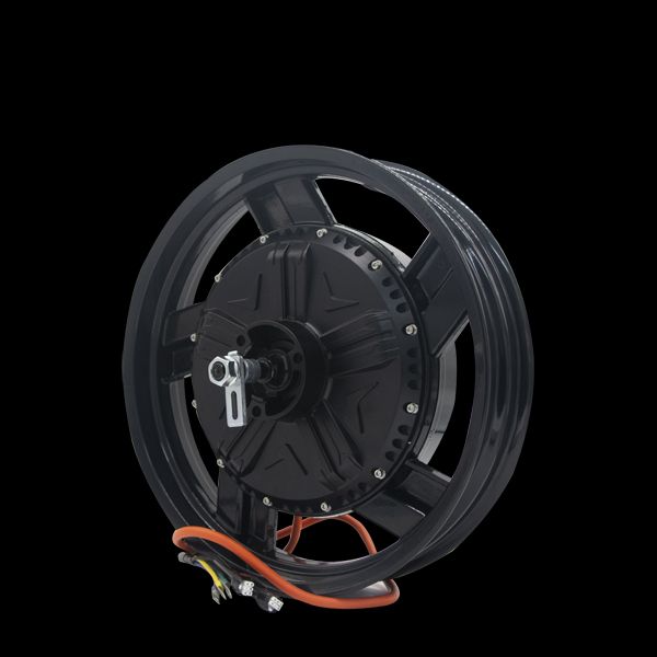 How a 16 Inch Hub Motor is Changing the Game?