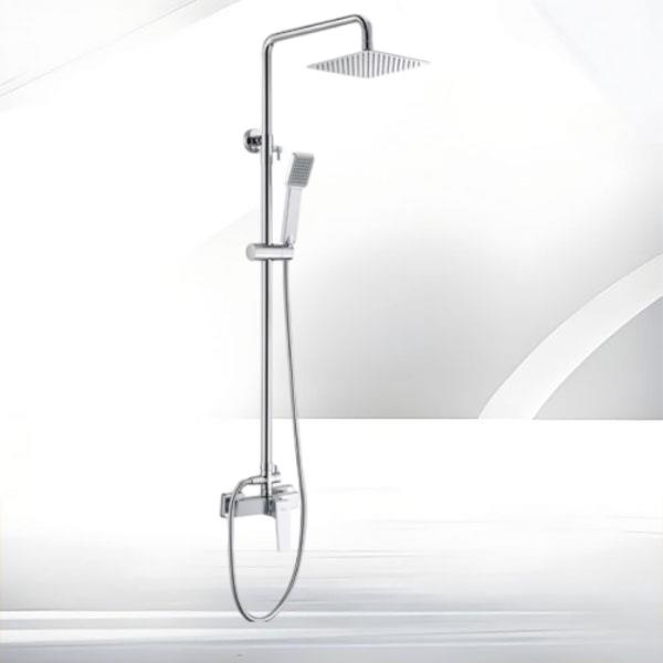 Convenient and practical solution for a dual shower system