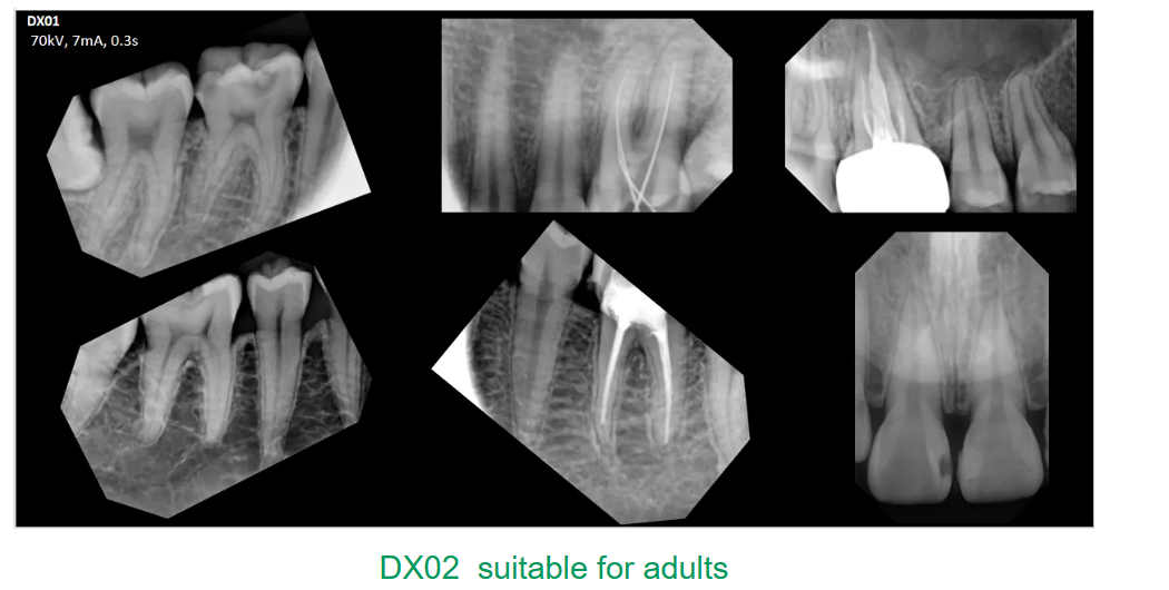 企业微信截图_17139476235857
