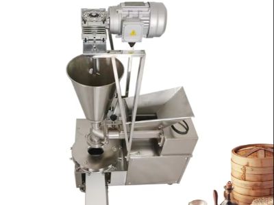 Leading Dumpling Making Machine Manufacturers In USA