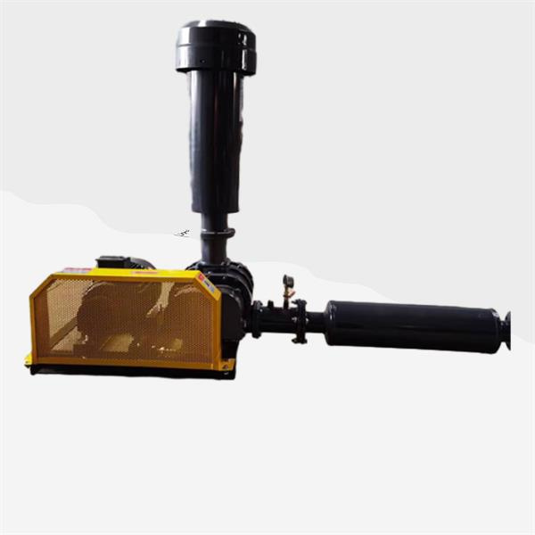 루츠 진공 블로어 솔루션으로 생산성 극대화하기