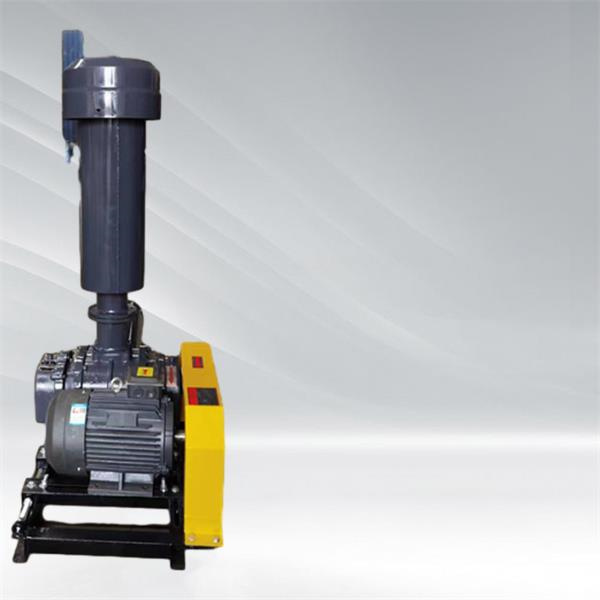 Welke optie is het beste voor uw bedrijf?