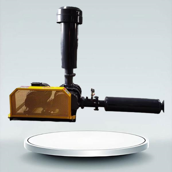 Waxyaabaha Ahaadooda Befor Dhinteen Blowerka Roots