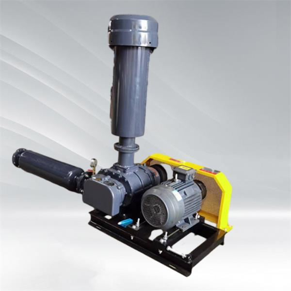 Badanie historii i ewolucji pompy typu Roots