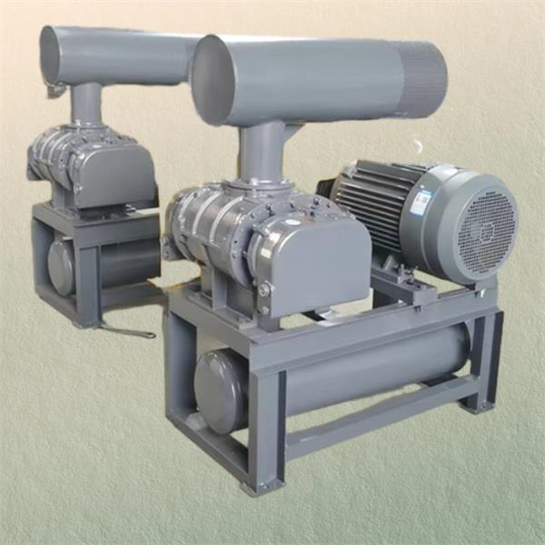 廃棄物を最小限に抑え、生産性を最大限に高めるための真空コンベヤシステム