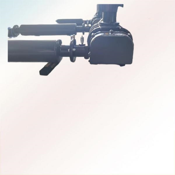 Conserva systema oecologicum sanum pro vita aquatica tua cum sufflamine radicis