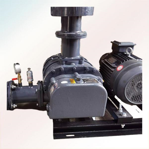 Разумевање дизајна и функционалности тролобе корене