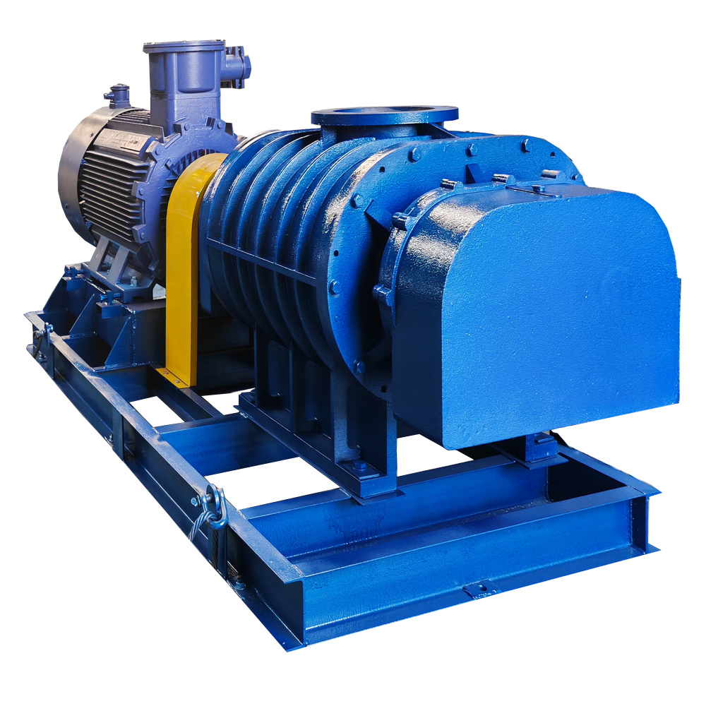 Veiligheidsfaktore vir Roots Blower gebruik