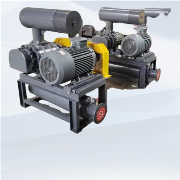 Elementi Essenziali di un Efficace Disegno del Sistema di Trasporto