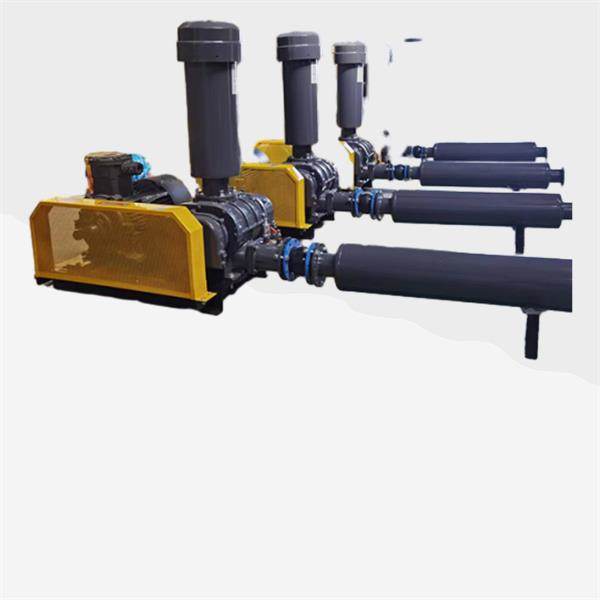 Ntawv Ntsuam Tswj Kwm