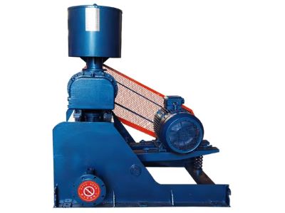 Case study:Successful case of leading Roots blower.