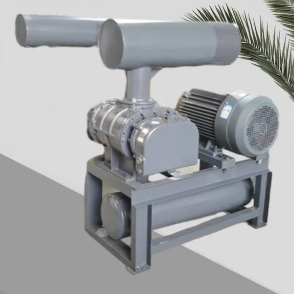 Shaqiinkooda Pneumatic Conveyor Manufacturers