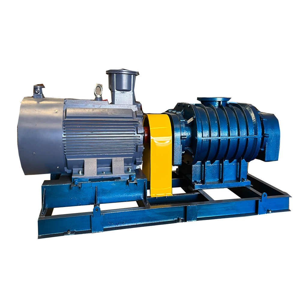 Understanding the Role of Roots Blowers in Pneumatic Conveying Systems