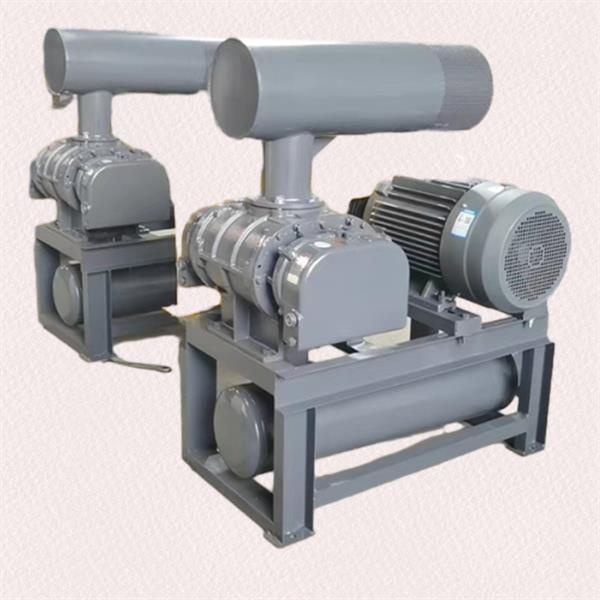 Solutiones Conveying in Masse pro Tota Industria