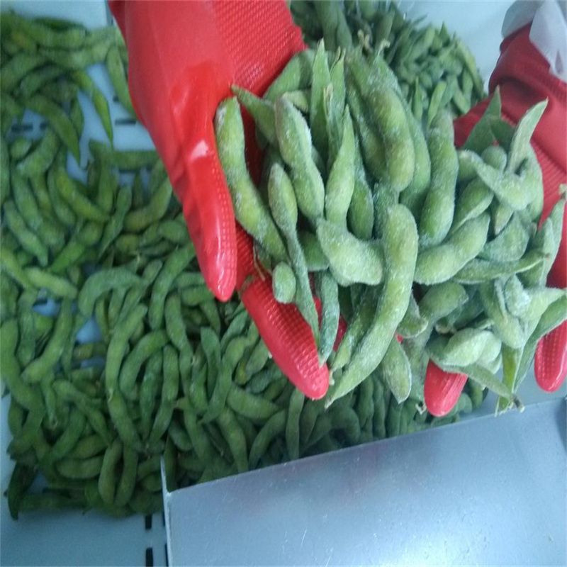 IQF 하미 멜론의 편리함을 발견하십시오